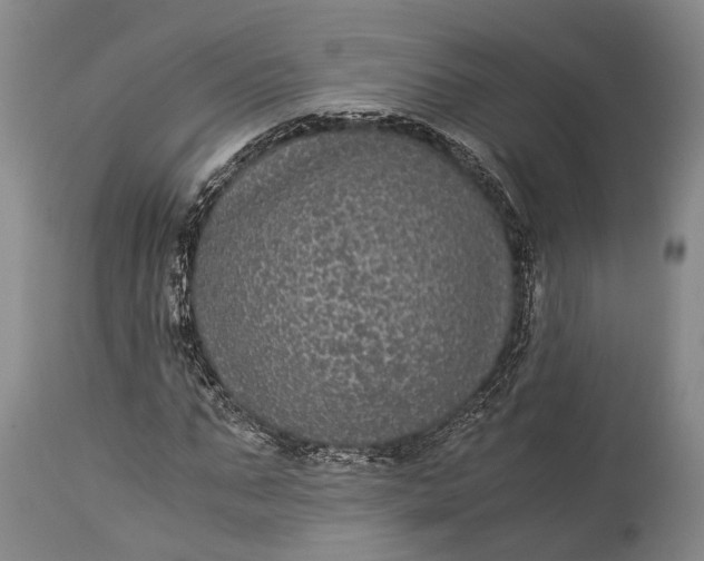 X0000115340871200911161830