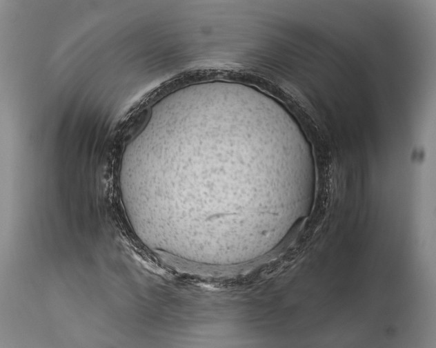 X0000115340872200911161830