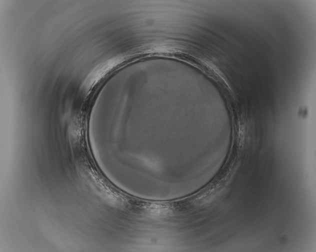 X0000115340874200911161829