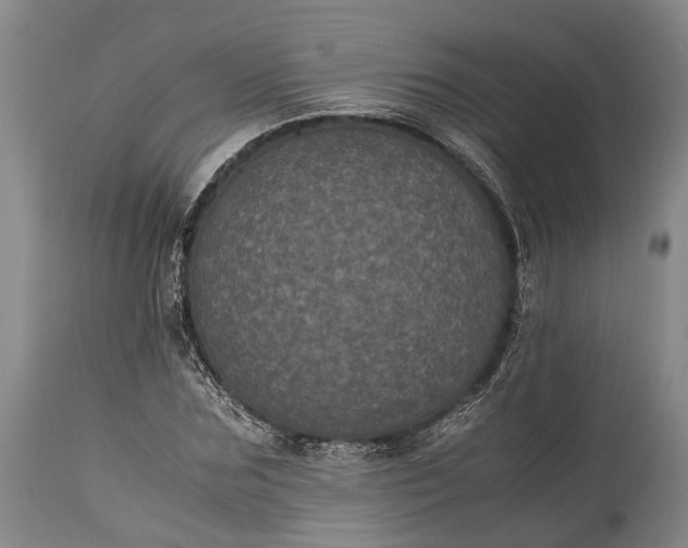 X0000115340875200911161829