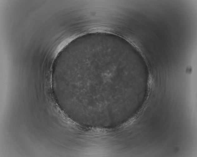 X0000115340877200911161829