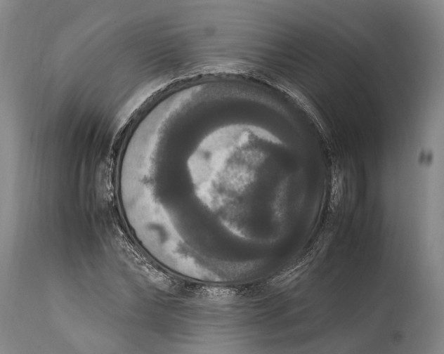 X0000115340878200911161829