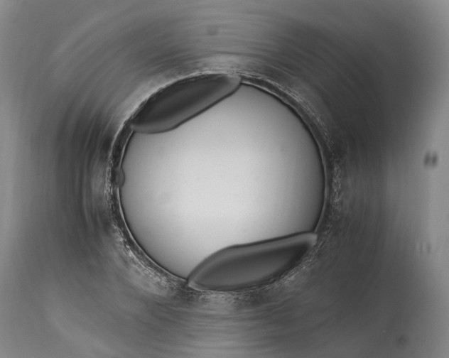 X0000115340880200911161829