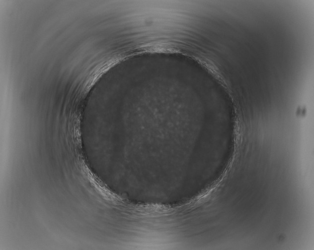 X0000115340881200911161829