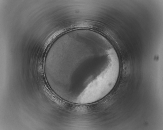 X0000115340882200911161829