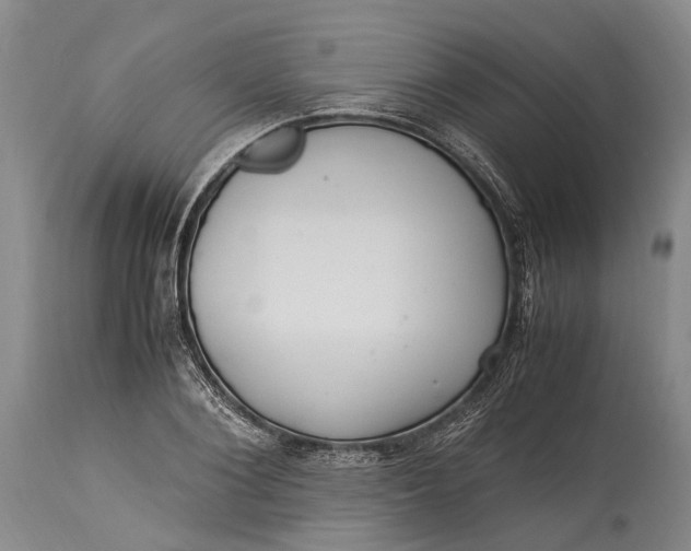 X0000115340884200911161829