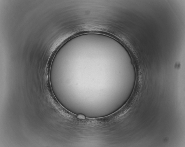 X0000115340885200911161829