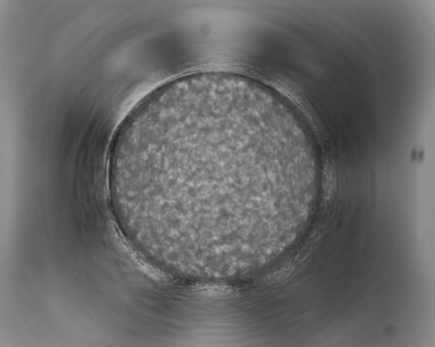 X0000115340886200911161829