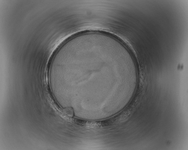 X0000115340887200911161829