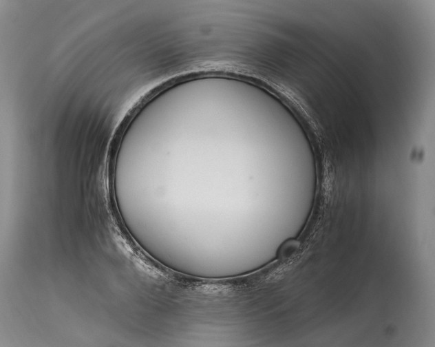 X0000115340888200911161829