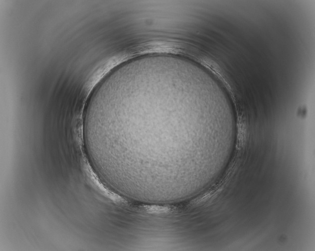 X0000115340890200911161829