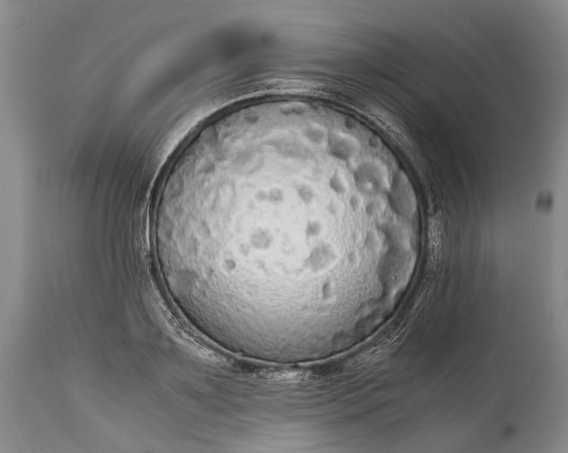 X0000115340891200911161829