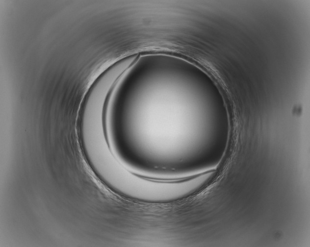 X0000115340893200911161829