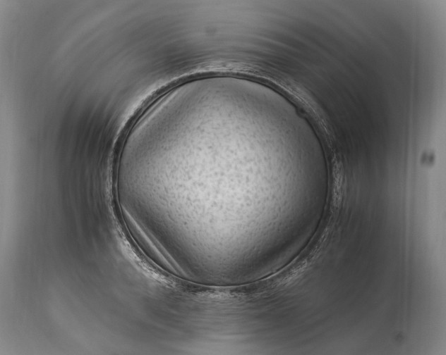 X0000115340896200911161829