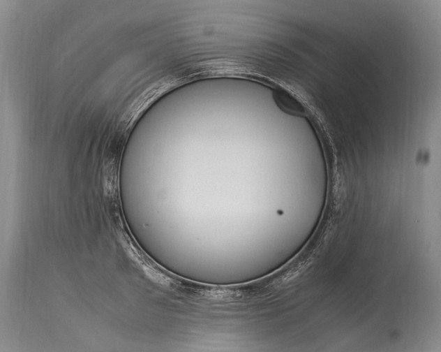 X0000115340897200911161829