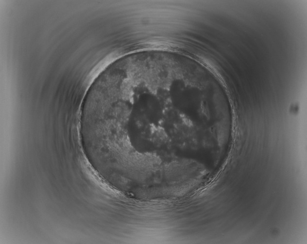 X0000115340899200911161829