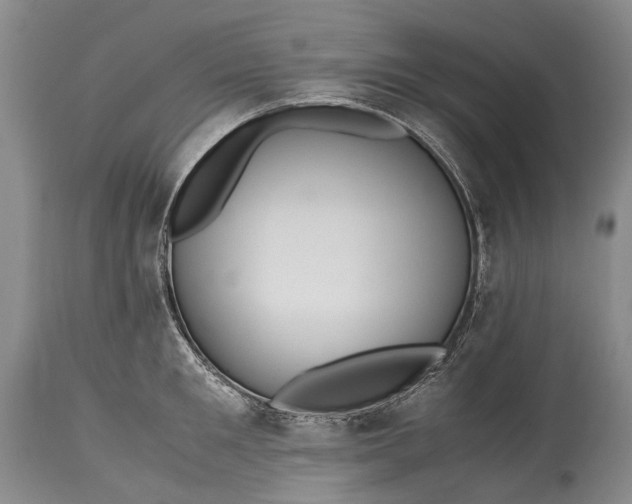 X0000115340901200911161829