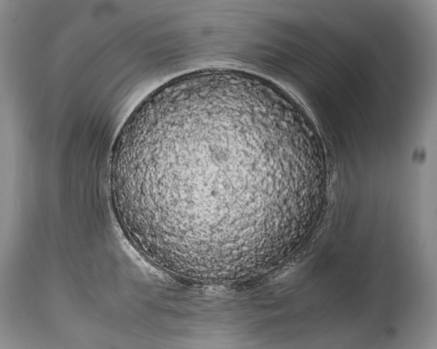 X0000115340903200911161829