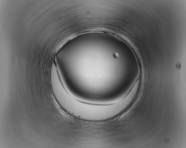 X0000115340905200911161829