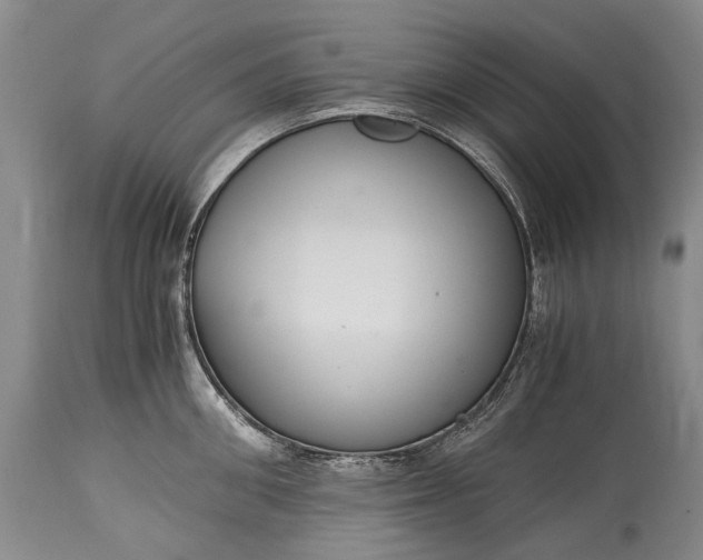 X0000115340906200911161829