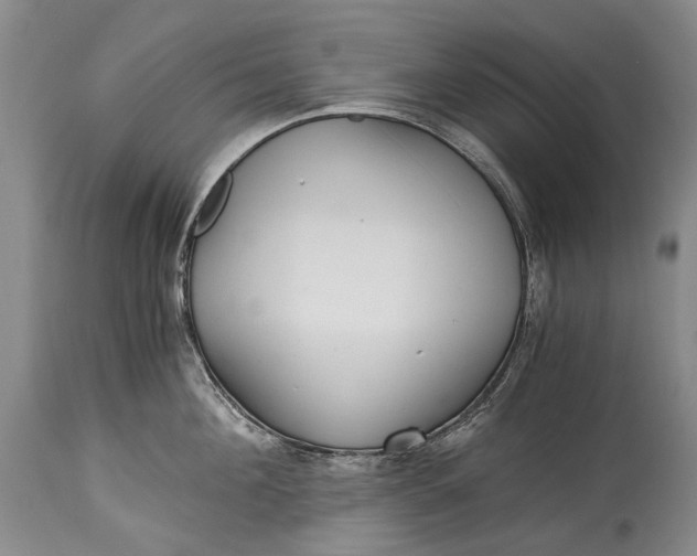 X0000115340908200911161829