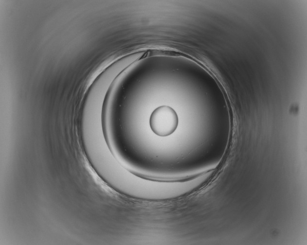 X0000115340909200911161829