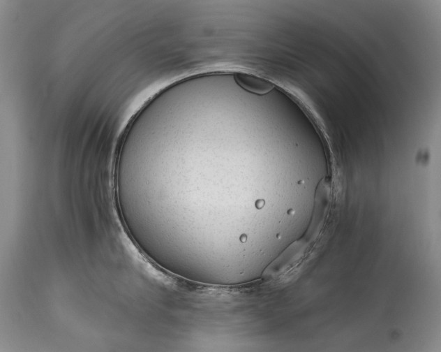 X0000115340910200911161829