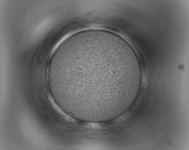 X0000115340911200911161829