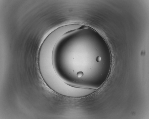 X0000115340912200911161829