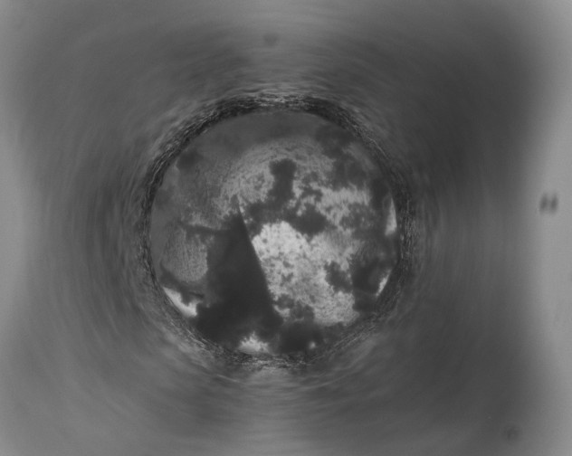X0000115340913200911161828