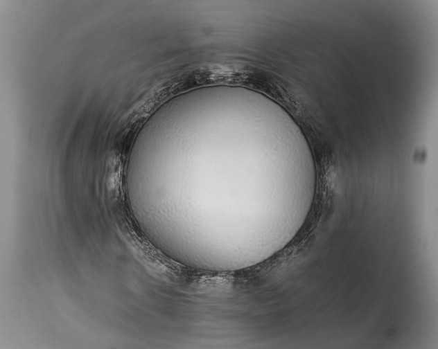 X0000115340914200911161828