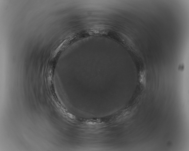 X0000115340915200911161828