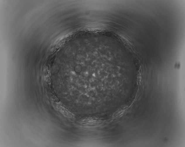 X0000115340917200911161828