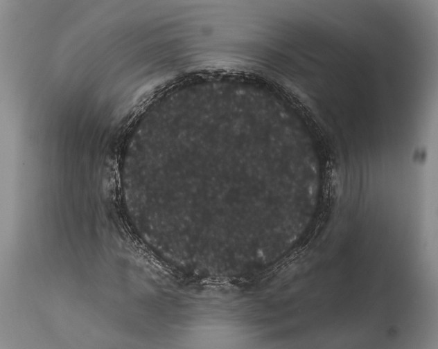 X0000115340918200911161828