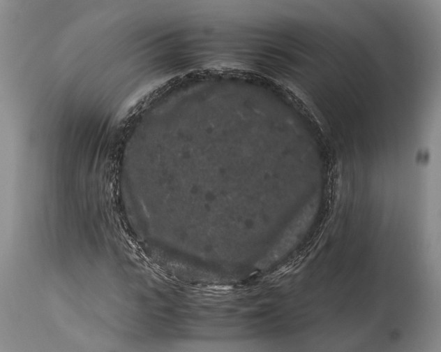 X0000115340919200911161828