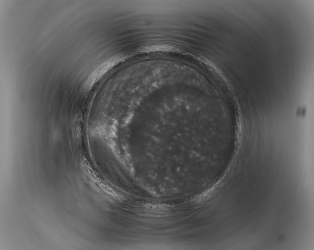X0000115340921200911161828