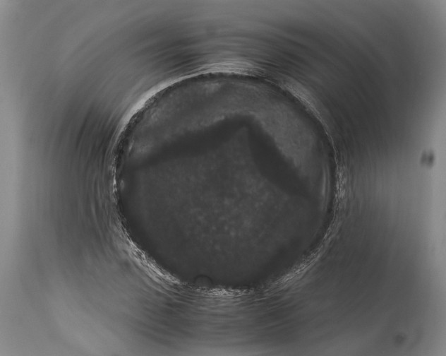 X0000115340923200911161828