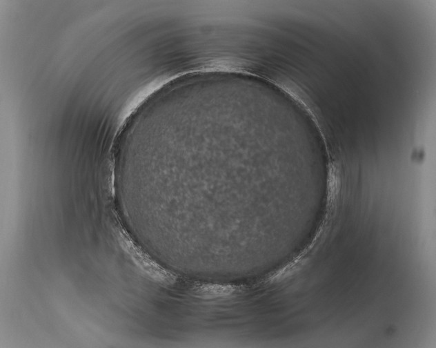 X0000115340925200911161828