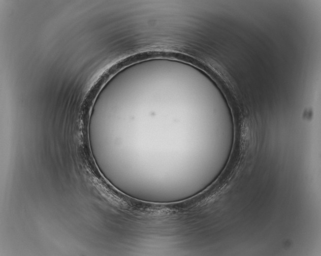 X0000115340926200911161828