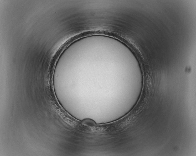 X0000115340927200911161828