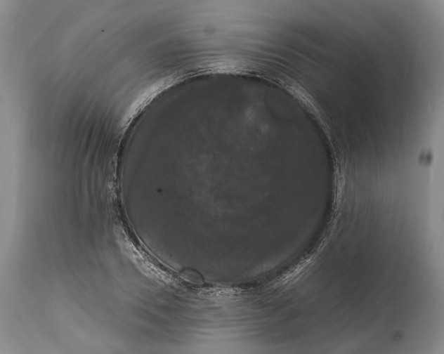 X0000115340930200911161828