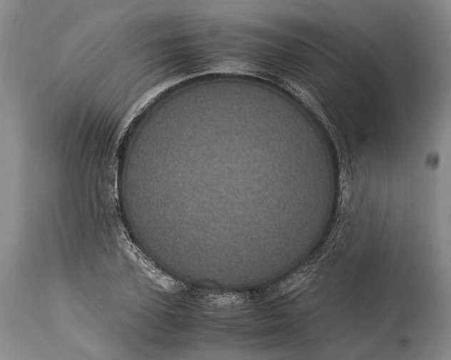 X0000115340931200911161828