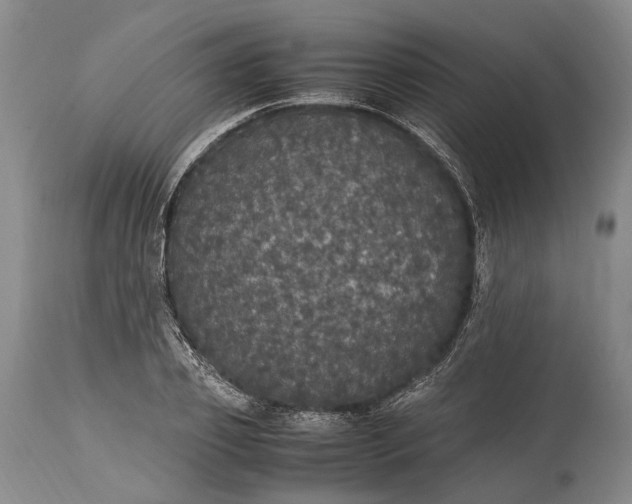X0000115340933200911161828