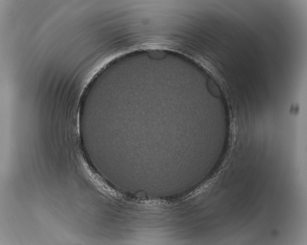 X0000115340934200911161828