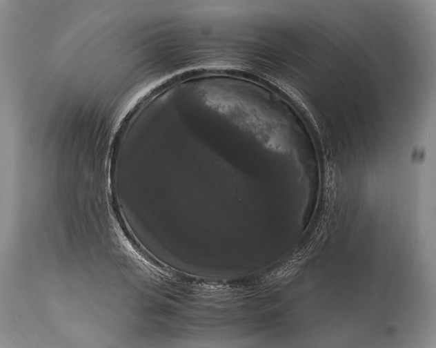 X0000115340935200911161828