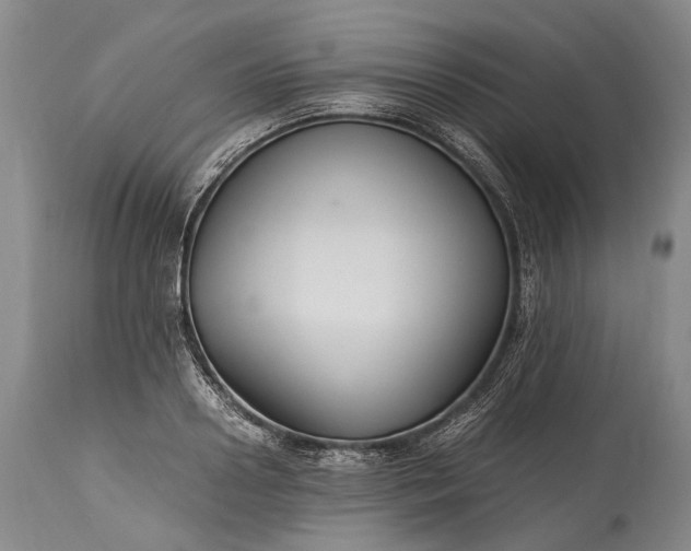 X0000115340938200911161828