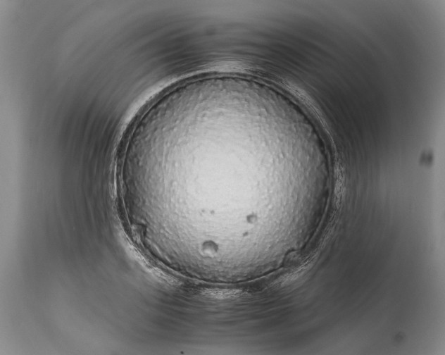 X0000115340939200911161828