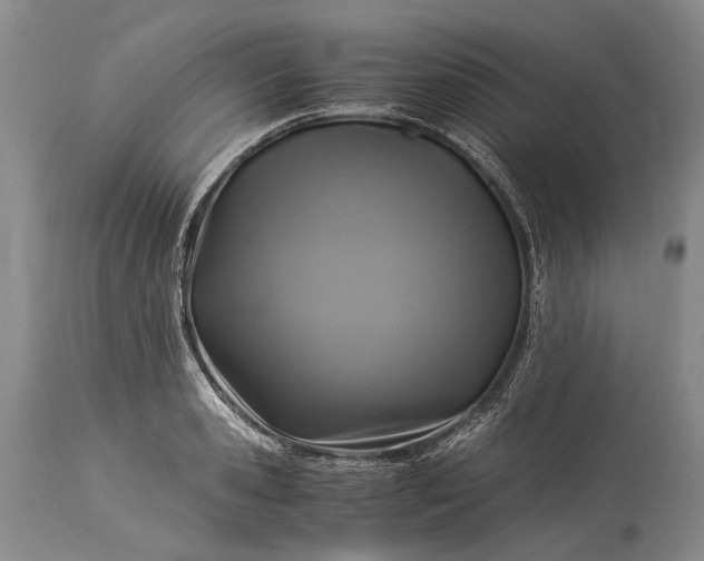 X0000115340941200911161829