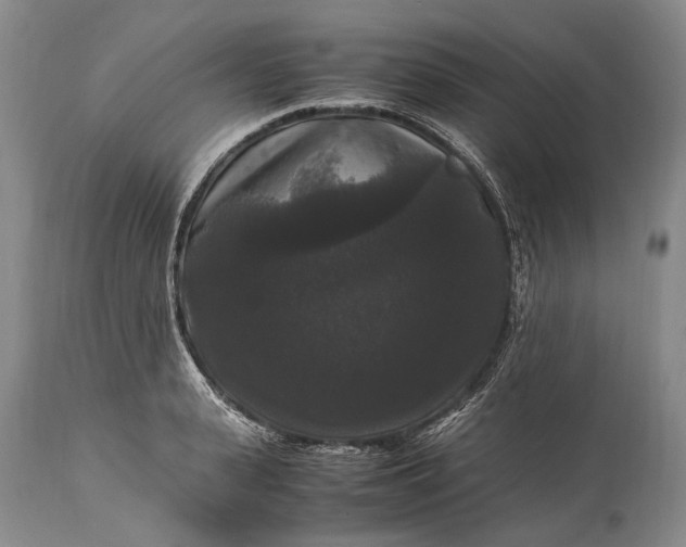 X0000115340943200911161829