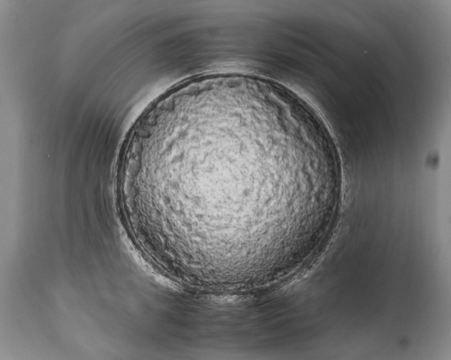 X0000115340949200911161829